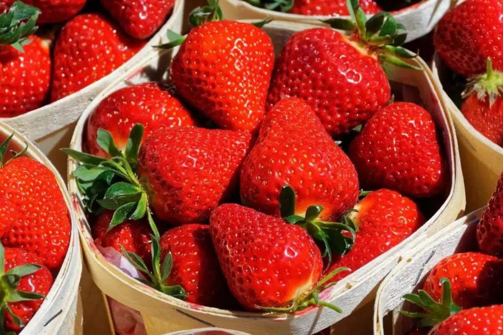 strawberries